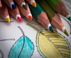 100 livres de coloriage 