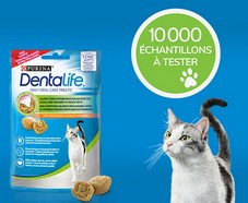 VITE ! 10000 échantillons gratuits PURINA Dentalife à recevoir par la Poste