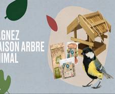 En jeu : Maison arbre oiseau + 50 boules de graisse + aliments !