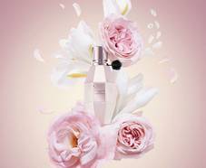 en jeu : 5 parfums Flowerbomb Dew de Viktor & Rolf + 5 ensembles The Bow Collection 