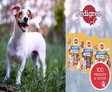 100 produits PEDIGREE chiens gratuits