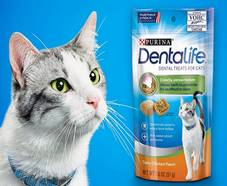 11’100 échantillons gratuits Purina Dentalife pour les chats