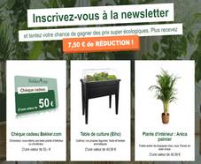 En jeu : chèque-cadeau, plante d’intérieur et table de culture