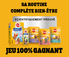 200 lots PEDIGREE à gagner !