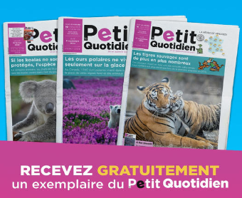 Echantillon gratuit : Journal Le Petit Quotidien